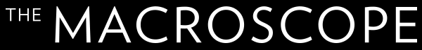 the MACROSCOPE